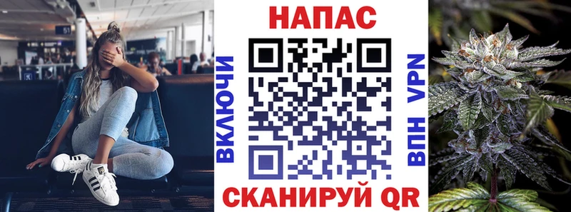 Купить где  Чекалин  Бошки Шишки план 